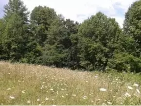 375 Stout Hollow Hampton Tn 37658, Hampton, TN 37658 photo 9