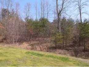 375 Stout Hollow Hampton Tn 37658, Hampton, TN 37658 photo 2