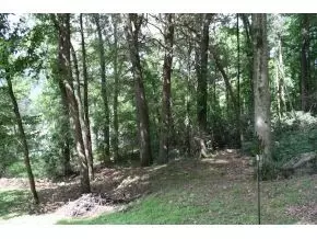 207 Gasteiger Drive Hampton Tn 37658, Hampton, TN 37658 photo 9