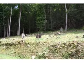 207 Gasteiger Drive Hampton Tn 37658, Hampton, TN 37658 photo 8