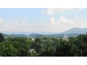 507 10th Avenue Johnson City Tn 37601, Johnson City, TN 37601 photo 19