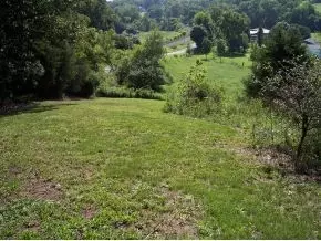 181 Hugh Story Road Limestone Tn 37681, Limestone, TN 37681 photo 14
