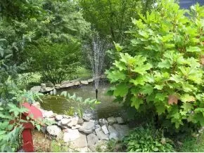 362 Bearfield Road Chuckey Tn 37641, Chuckey, TN 37641 photo 13