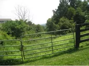 693 Oak Glen Circle Fall Branch Tn 37656, Fall Branch, TN 37656 photo 6
