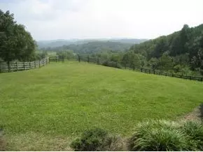 693 Oak Glen Circle Fall Branch Tn 37656, Fall Branch, TN 37656 photo 5