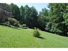 125 Webb Lane Erwin Tn 37650, Erwin, TN 37650 photo 24