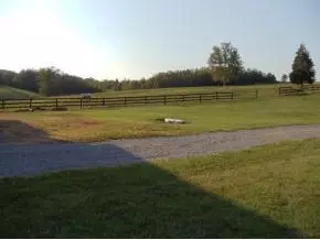153 Tilson Road Limestone Tn 37681, Limestone, TN 37681 photo 21