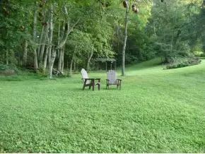 320 Tucker Hollow Road Fall Branch Tn 37656, Fall Branch, TN 37656 photo 23