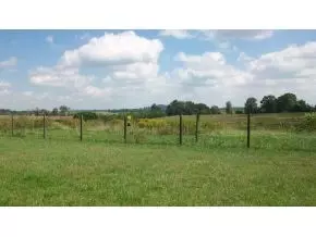 750 Cannon Road Limestone Tn 37681, Limestone, TN 37681 photo 18