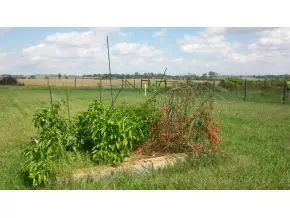 750 Cannon Road Limestone Tn 37681, Limestone, TN 37681 photo 24