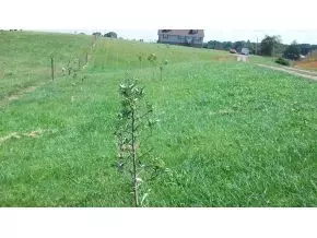 750 Cannon Road Limestone Tn 37681, Limestone, TN 37681 photo 23