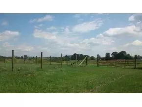 750 Cannon Road Limestone Tn 37681, Limestone, TN 37681 photo 19