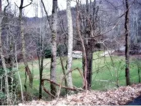 169 Tolley Town Road Hampton Tn 37658, Hampton, TN 37658 photo 4