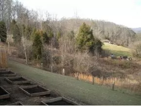 875 Ryan Road Fall Branch Tn 37656, Fall Branch, TN 37656 photo 5