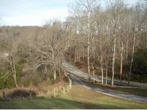 875 Ryan Road Fall Branch Tn 37656, Fall Branch, TN 37656 photo 3