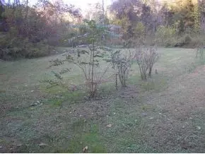 141 Dalson Road Eidson Tn 37731, Eidson, TN 37731 photo 24