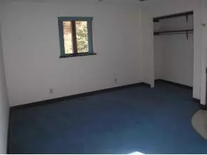 141 Dalson Road Eidson Tn 37731, Eidson, TN 37731 photo 9