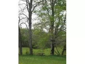11696 Mount Calm Drive Glade Spring Va 24340, Glade Spring, VA 24340 photo 11