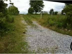 108 Powell Road Limestone Tn 37681, Limestone, TN 37681 photo 2