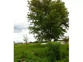 108 Powell Road Limestone Tn 37681, Limestone, TN 37681 photo 3
