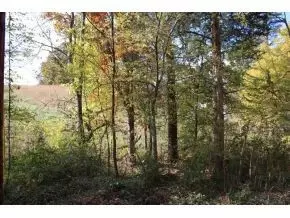 345 Bill West Road Limestone Tn 37681, Limestone, TN 37681 photo 2