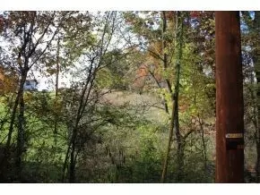 345 Bill West Road Limestone Tn 37681, Limestone, TN 37681 photo 8