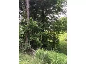 345 Bill West Road Limestone Tn 37681, Limestone, TN 37681 photo 5