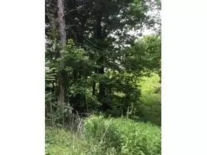 345 Bill West Road Limestone Tn 37681, Limestone, TN 37681 photo 9