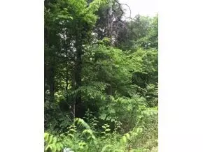 345 Bill West Road Limestone Tn 37681, Limestone, TN 37681 photo 6