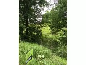 345 Bill West Road Limestone Tn 37681, Limestone, TN 37681 photo 3
