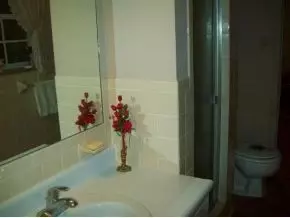 864 Whippoorwill Drive Talbott Tn 37877, Talbott, TN 37877 photo 7