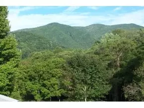 346 Mountain View Drive Hampton Tn 37658, Hampton, TN 37658 photo 13
