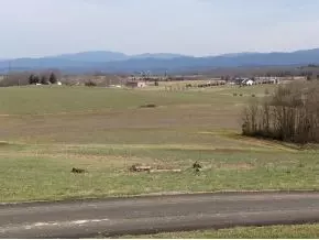 315 Chandler Road Limestone Tn 37681, Limestone, TN 37681 photo 3