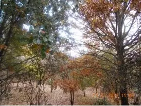 134 Garland Road Limestone Tn 37681, Limestone, TN 37681 photo 12