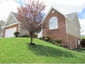 214 Ridgeview Meadows Drive Gray Tn 37615, Gray, TN 37615 photo 2
