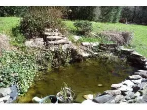 110 Whitson Lane Erwin Tn 37650, Erwin, TN 37650 photo 20