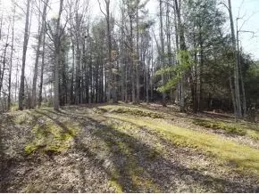 325 Rolling Hills Road Erwin Tn 37650, Erwin, TN 37650 photo 3