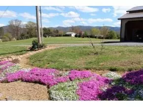 325 Pepper Mill Road Chuckey Tn 37641, Chuckey, TN 37641 photo 24