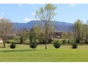 325 Pepper Mill Road Chuckey Tn 37641, Chuckey, TN 37641 photo 4