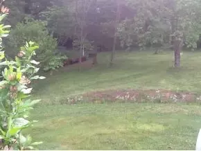 255 Tipton Erwin Tn 37650, Erwin, TN 37650 photo 12
