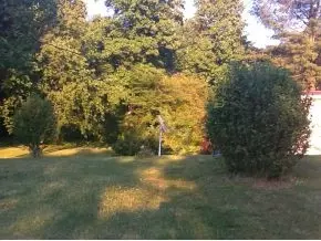 255 Tipton Erwin Tn 37650, Erwin, TN 37650 photo 15