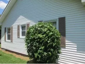 136 Yelton Erwin Tn 37650, Erwin, TN 37650 photo 14