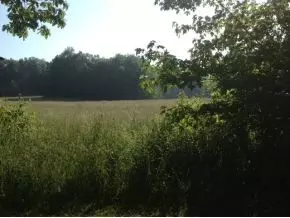 8021 Crescent Road Glade Spring Va 24340, Glade Spring, VA 24340 photo 5
