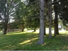 8021 Crescent Road Glade Spring Va 24340, Glade Spring, VA 24340 photo 3