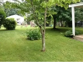 1304 E 8th Avenue Johnson City Tn 37601, Johnson City, TN 37601 photo 14