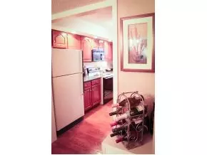 204 Mountain View Road 19 Johnson City Tn 37601, Johnson City, TN 37601 photo 13