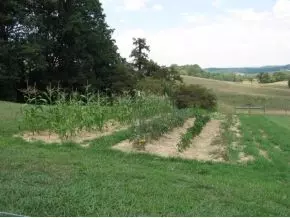 4055 Old Snapps Ferry Road Limestone Tn 37681, Limestone, TN 37681 photo 8