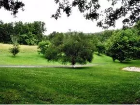 630 Browns Branch Road Hampton Tn 37658, Hampton, TN 37658 photo 22