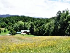 630 Browns Branch Road Hampton Tn 37658, Hampton, TN 37658 photo 2