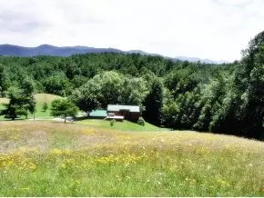 630 Browns Branch Road Hampton Tn 37658, Hampton, TN 37658 photo 14